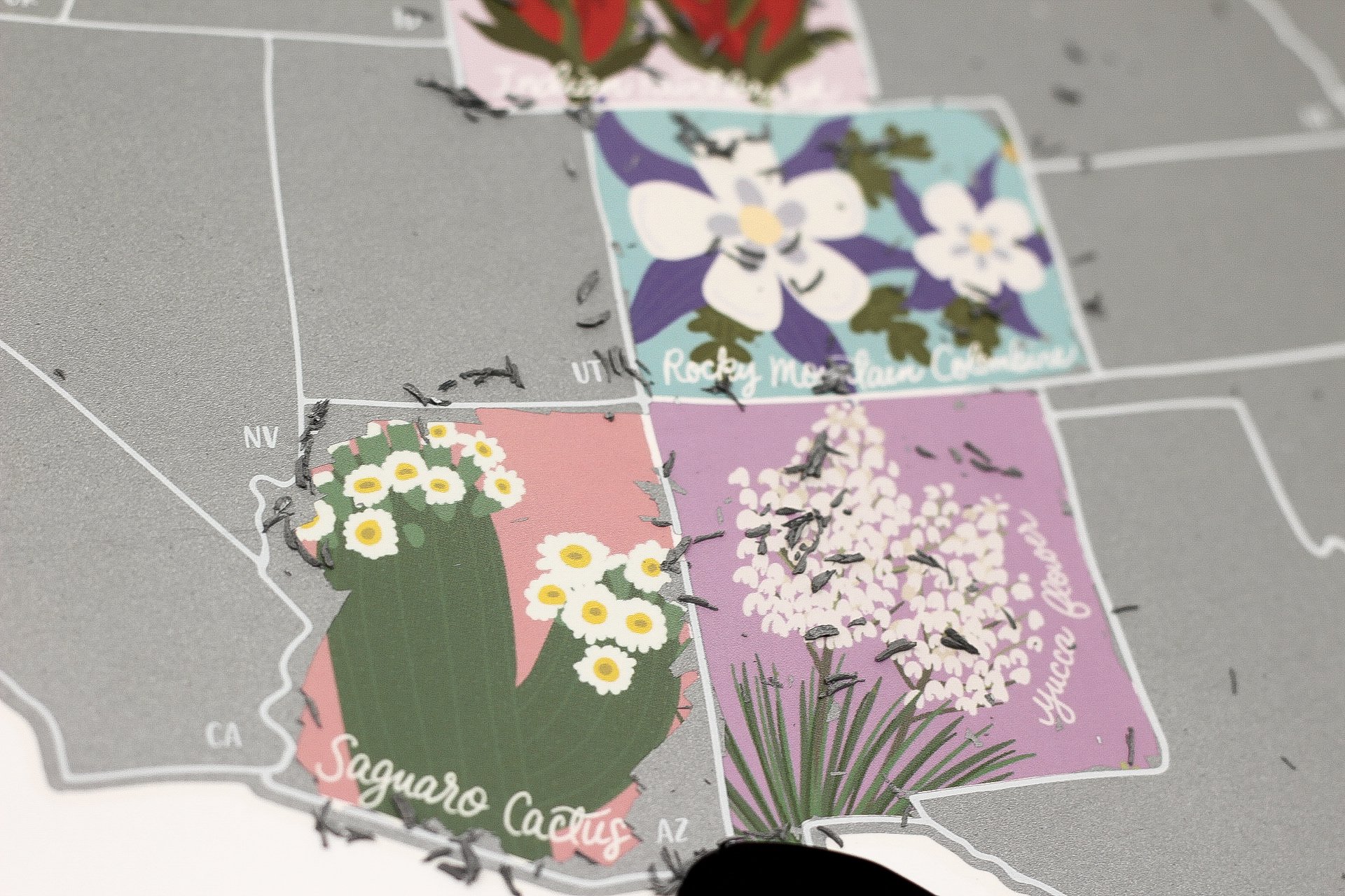 Scratch Your Travels® Official US State Flowers Map in Silver, featuring hand-drawn flowers and a silver scratch-off surface.